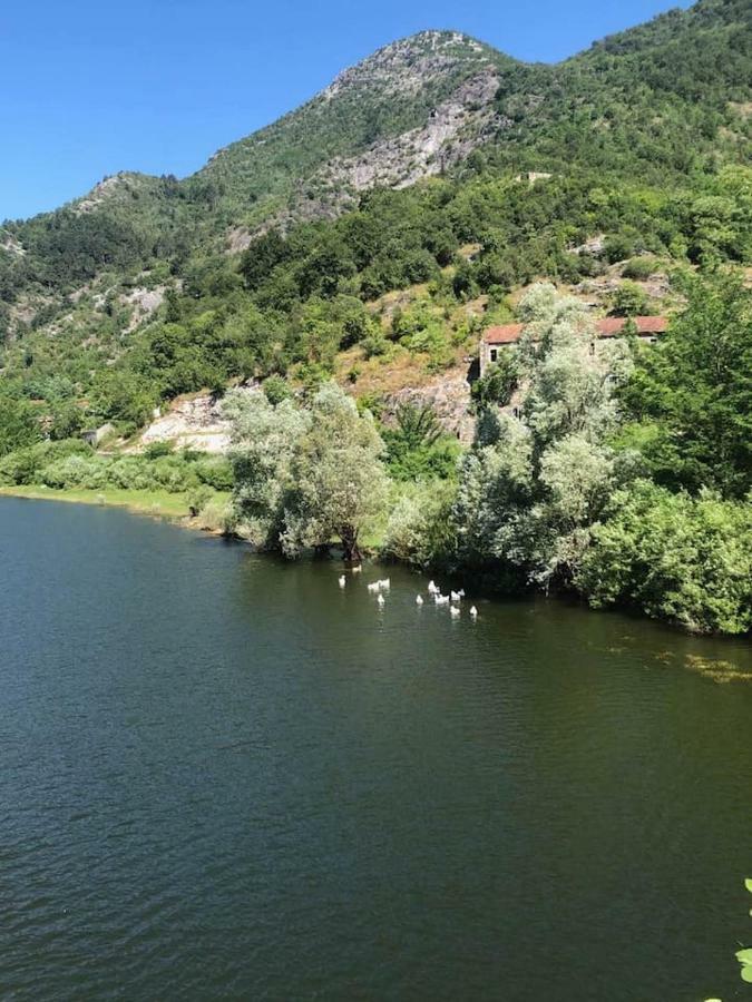 T-A Apartment Rijeka Crnojevića Eksteriør billede